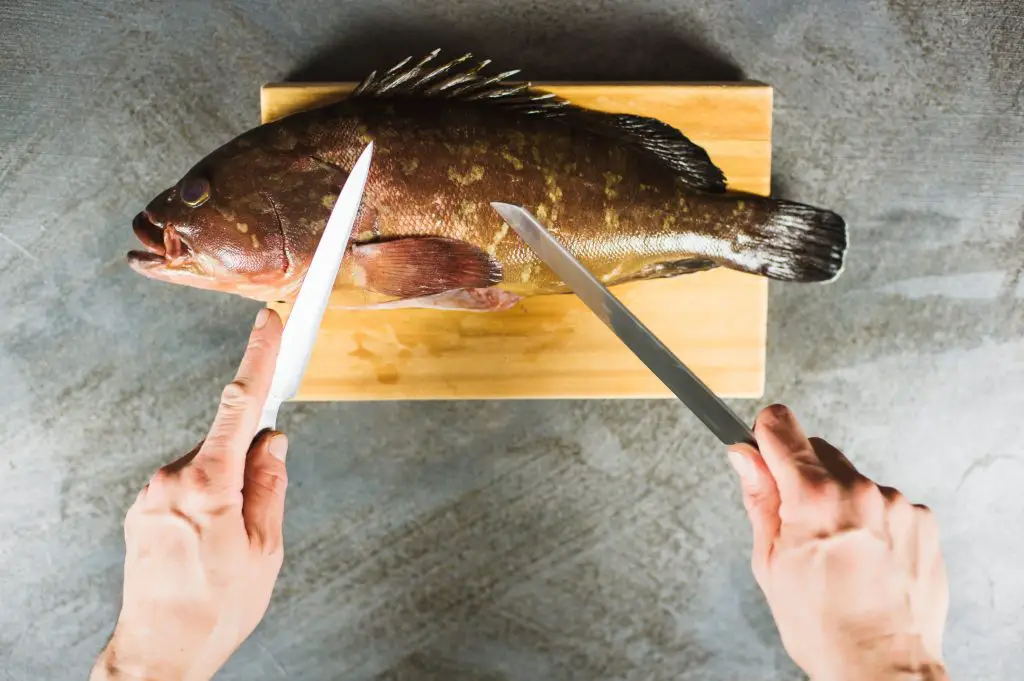 What Are Grouper Cheeks Reel Fishing Guru