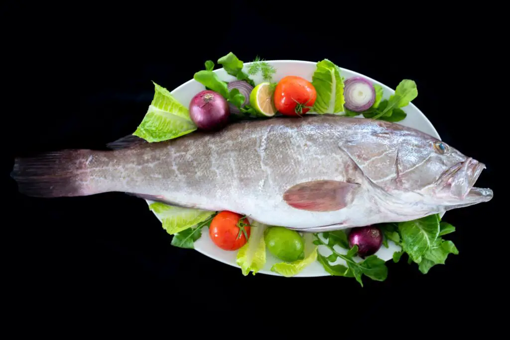 Grouper on a plate with vegetables