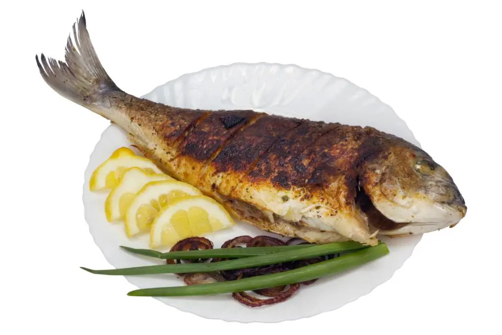 Grilled grouper on a plate
