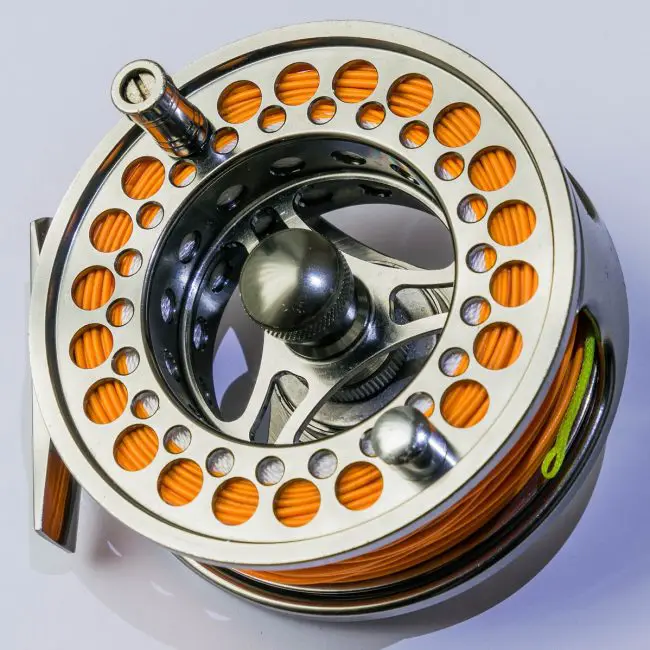 Best Three Grouper Lures Reel Fishing Guru