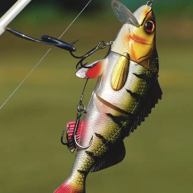 Best mahi mahi fishing rigs Reel Fishing Guru