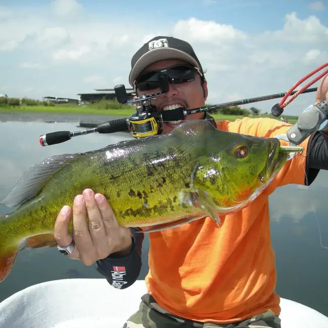 Top Cod Fishing Rigs | Reel Fishing Guru