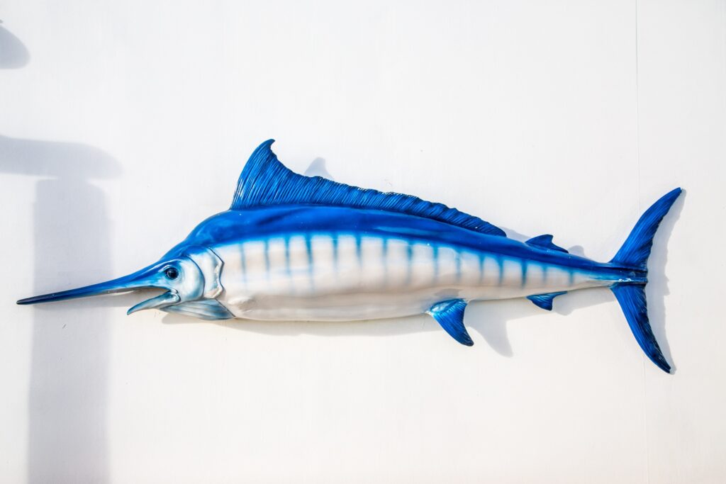 Mounted Blue Swordfish