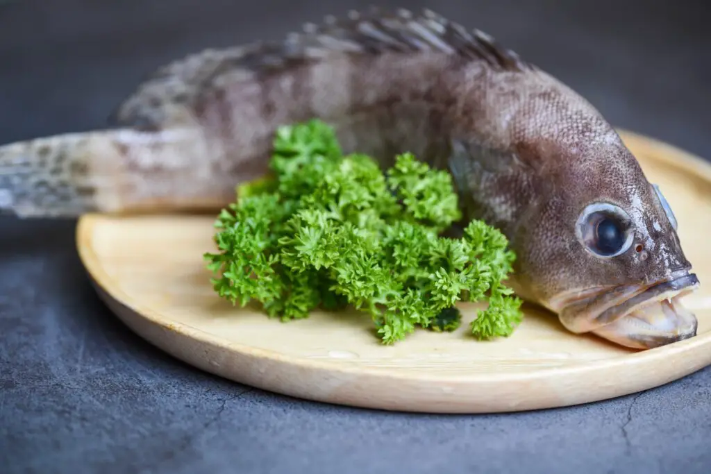 Misty Grouper on a plate