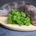 Misty Grouper on a plate