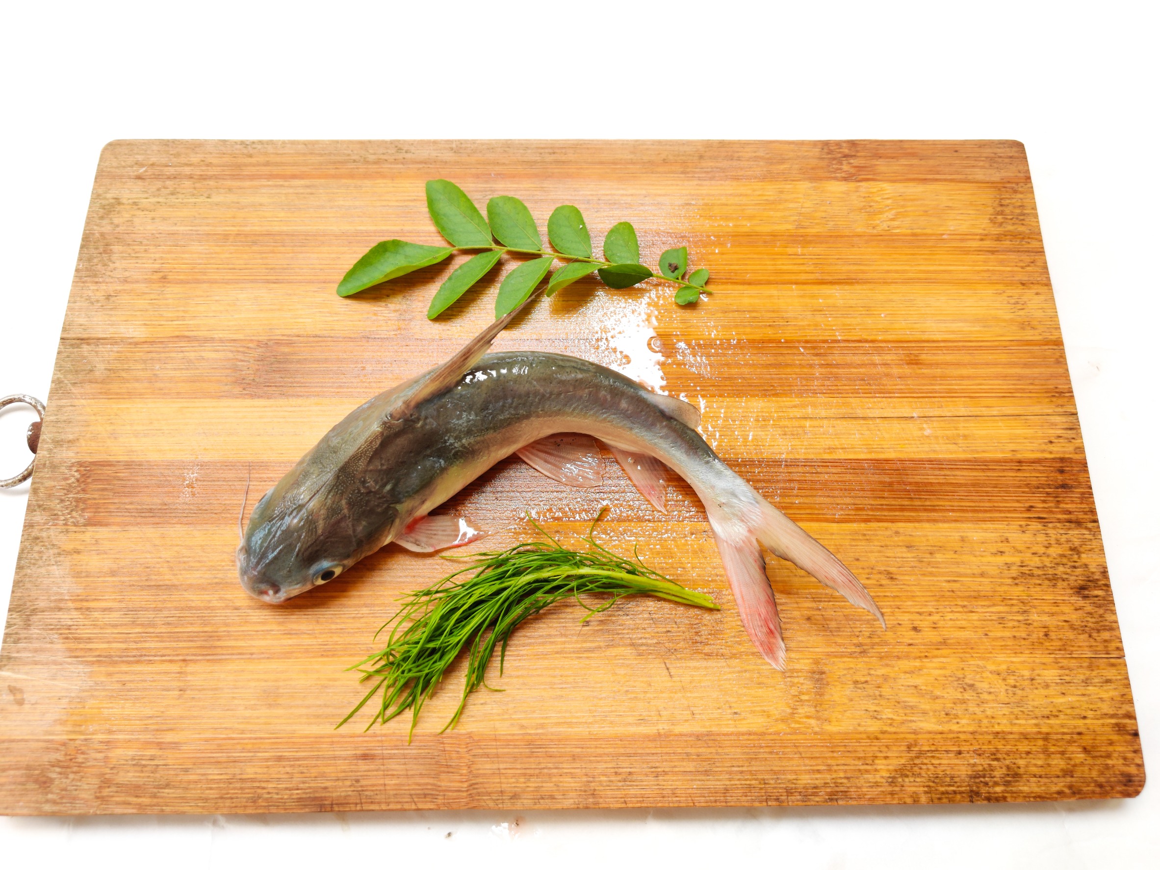 Saltwater Catfish - Gaff topsail catfish on a cutting board