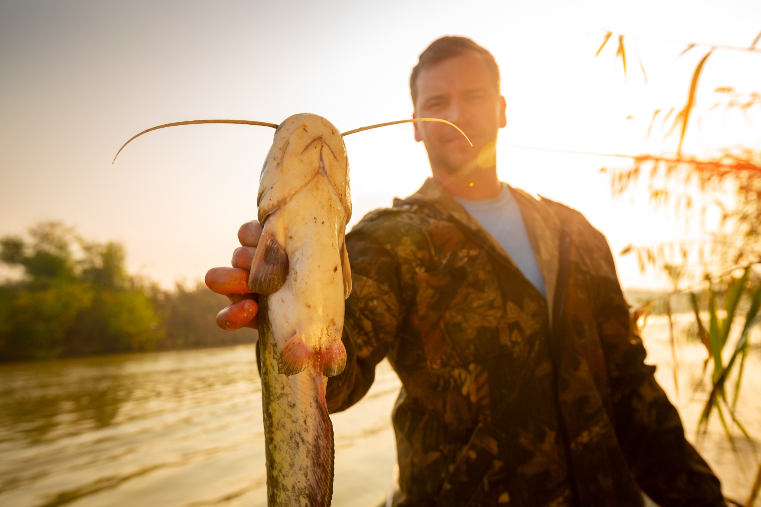 Holding a Freshwater Wels Catfish