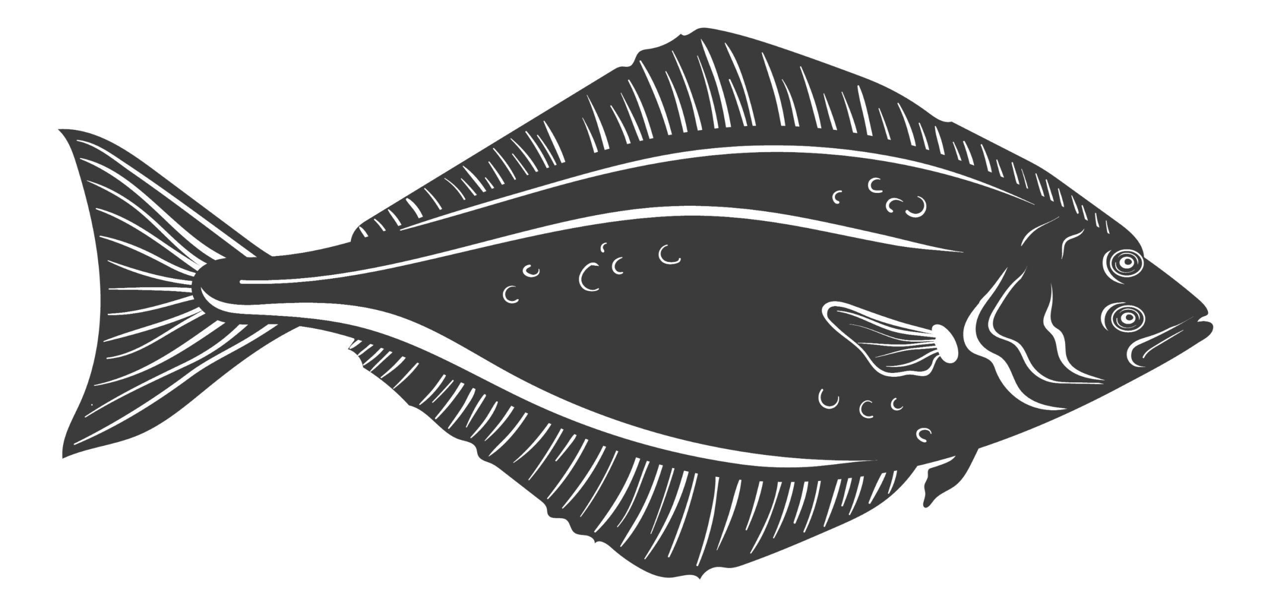 Black and White Halibut