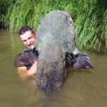 Giant Catfish