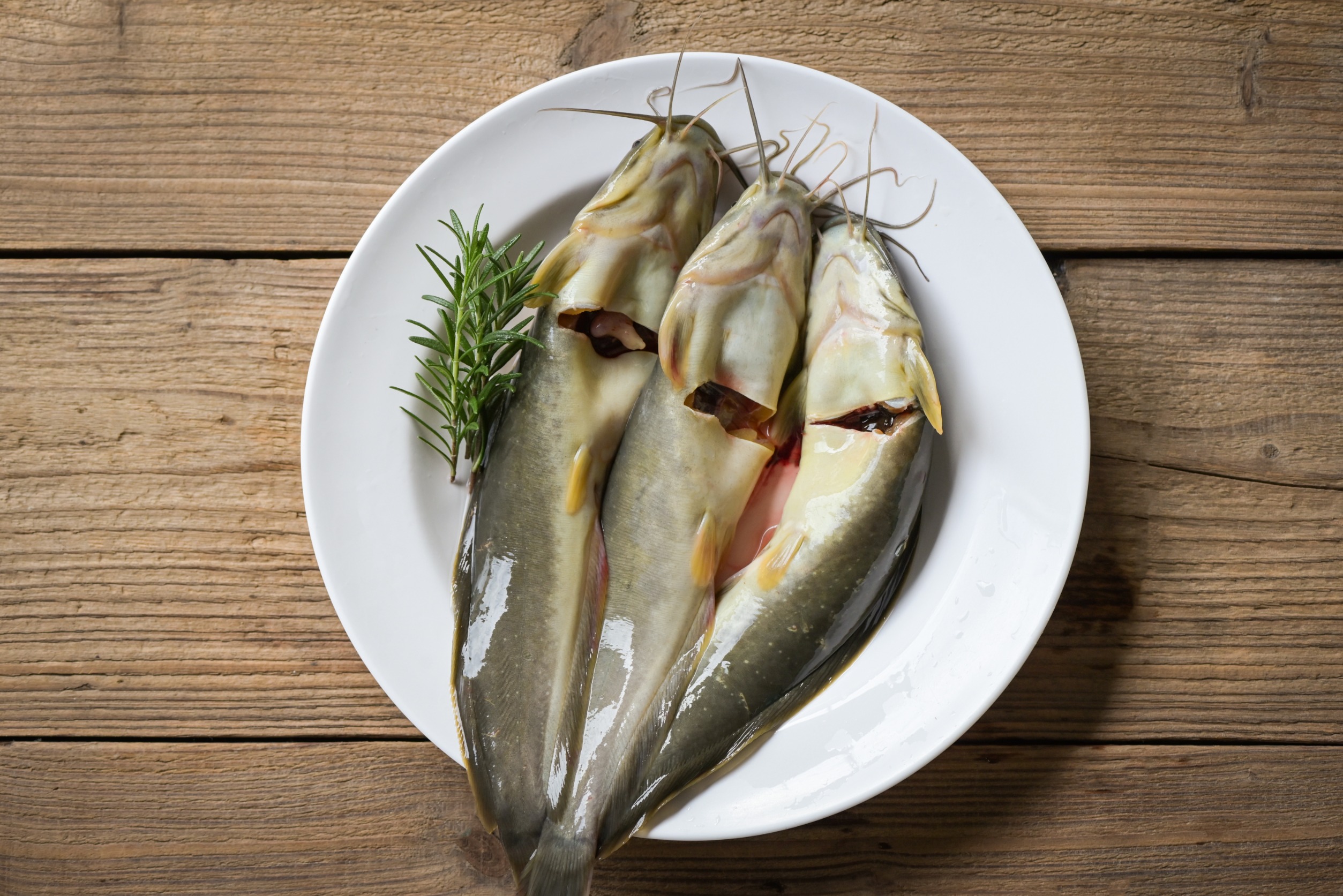 Plate of raw catfish