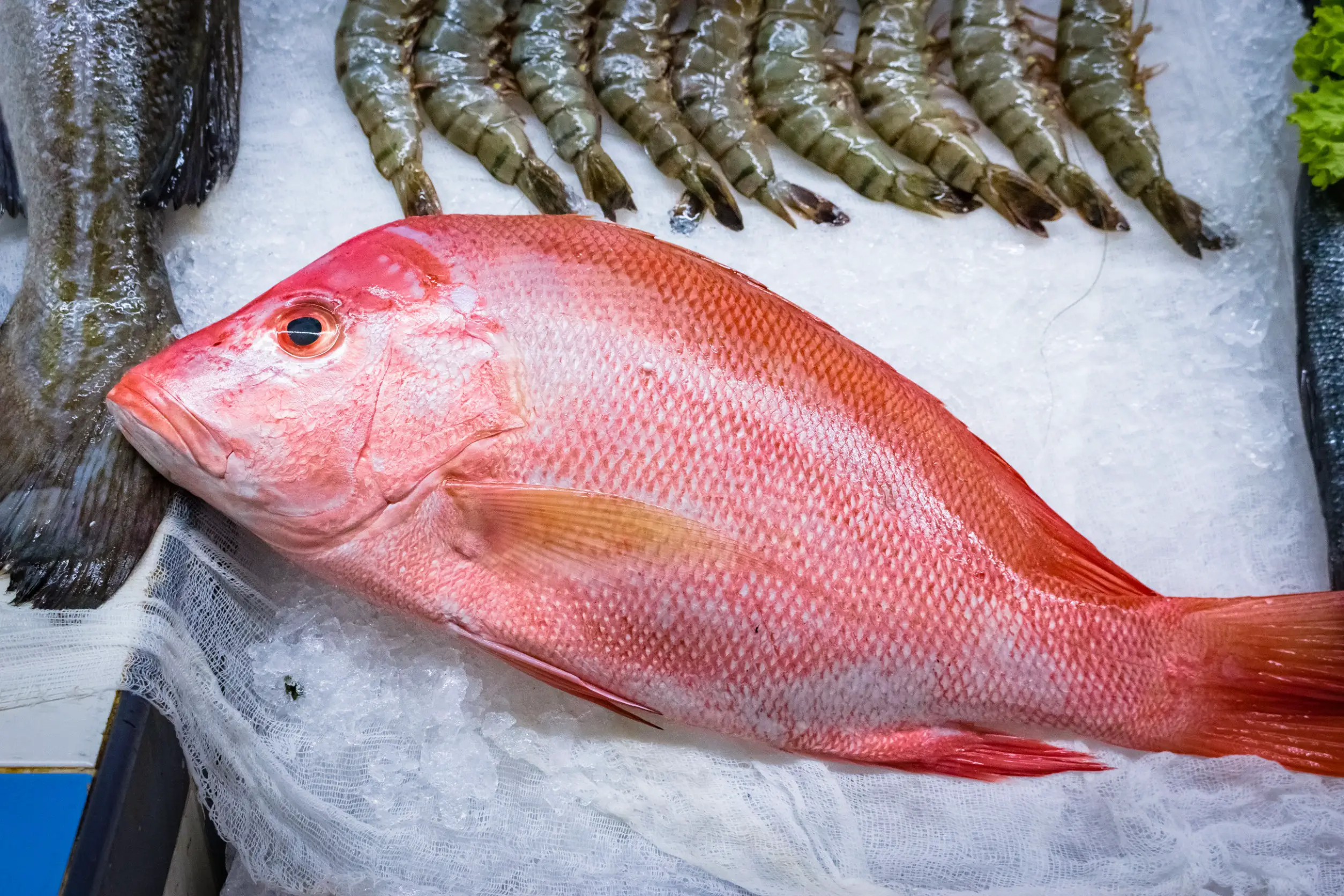 Red snapper at a market