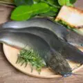 Catfish on a plate