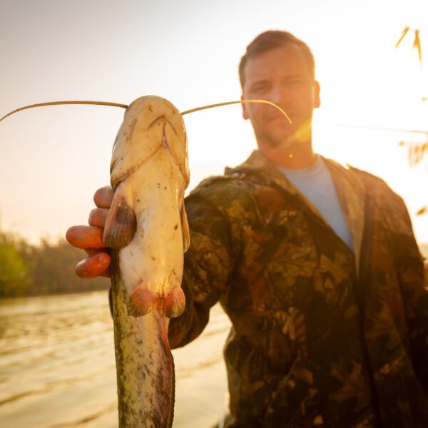 Caught a nice catfish