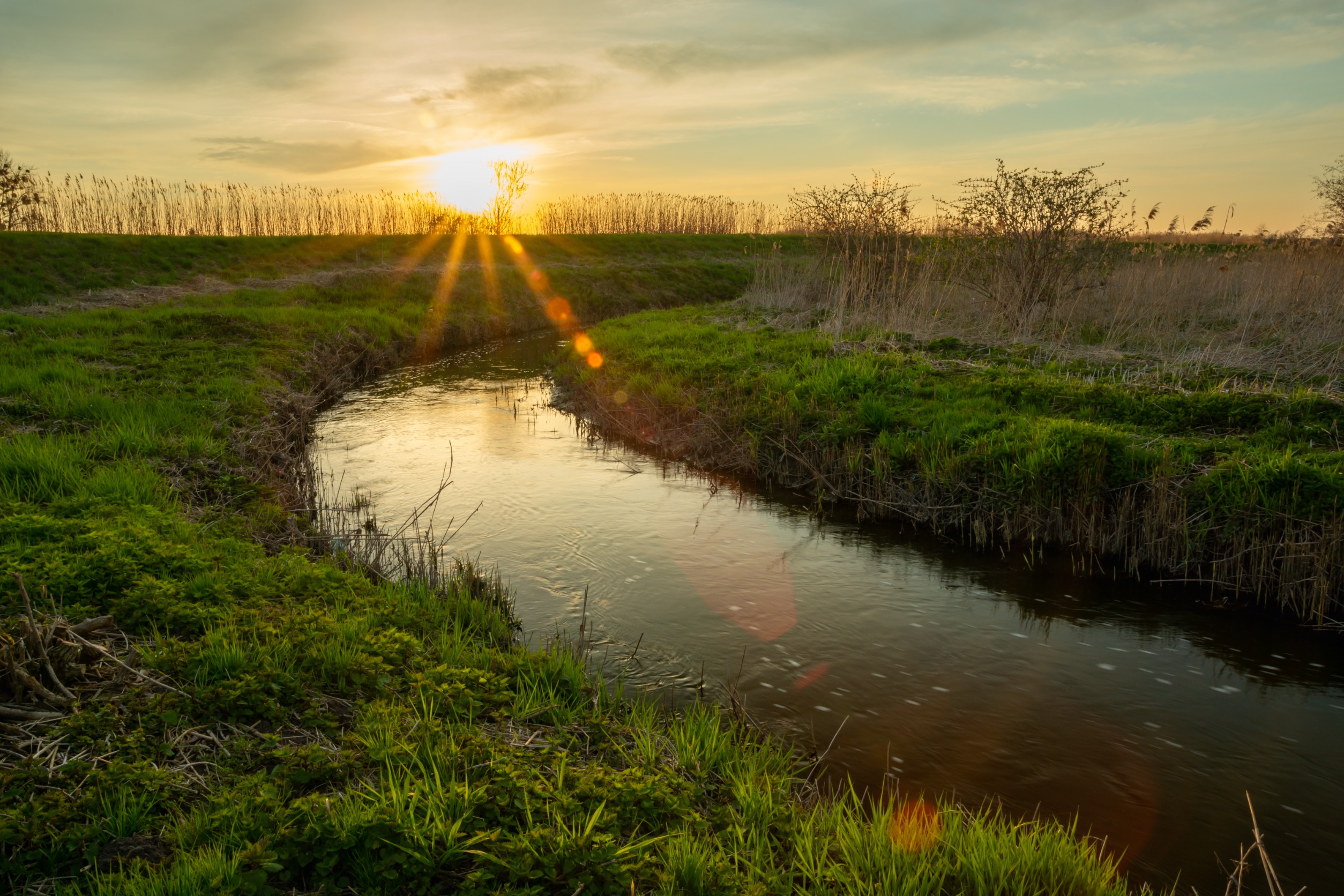 Sun shining on a river