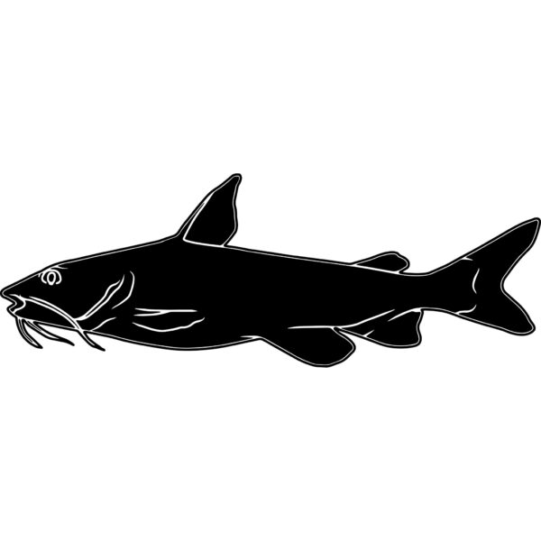 Hardhead Catfish Black on White Sketch